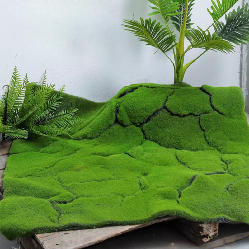 Terrarium Moss Art - Turf artificiale Muschio Simulazione Prateria Semi