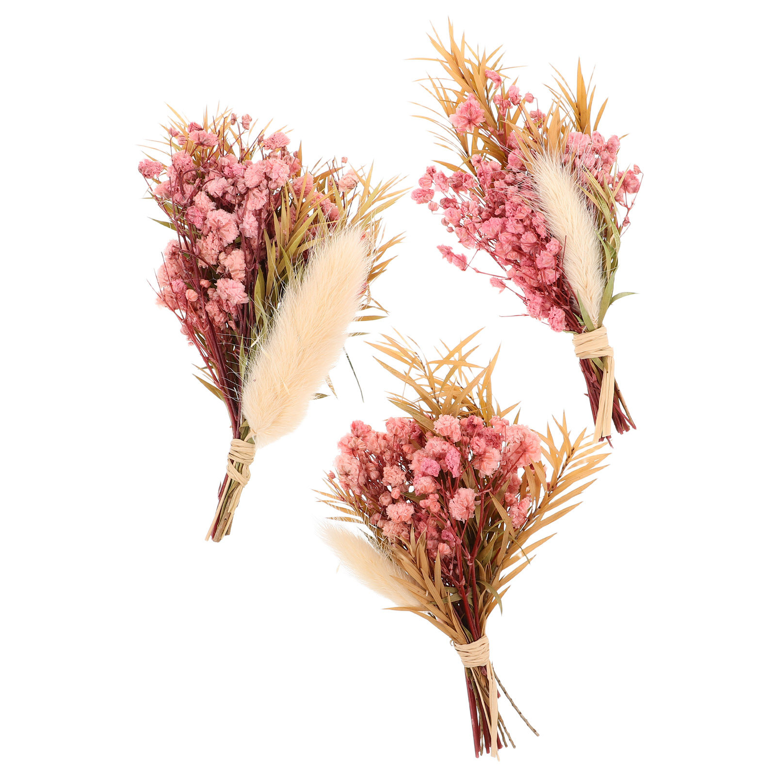 Dried Flower Bulk - Set di 3 Mini Bouquet di