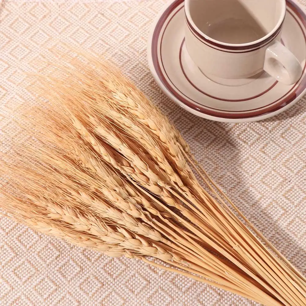 50 Pezzi di Steli di Grano Ess - Dried Flower Bulk recensione e prezzo