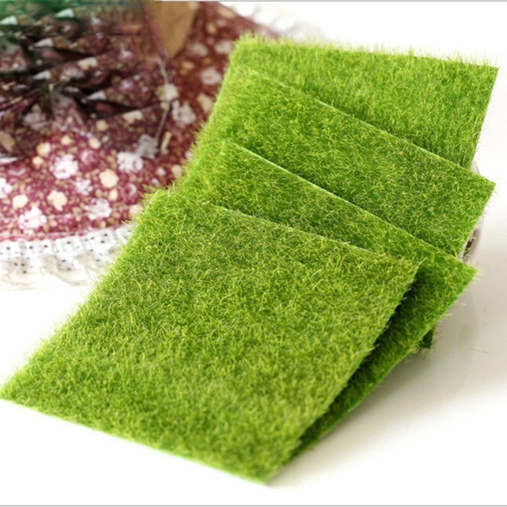 Decorazione per Prato Ecologic - Terrarium Moss Art recensione e prezzo