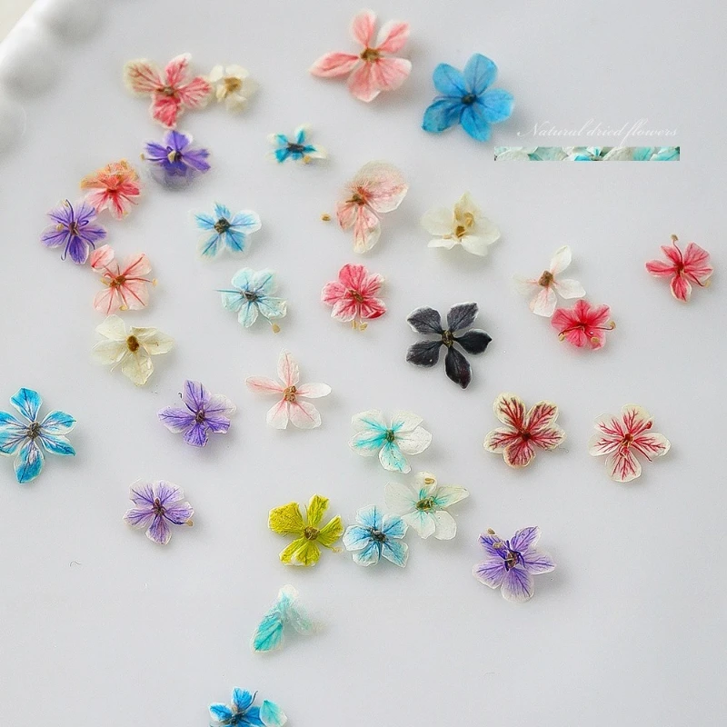 1 pz estate sfumatura floreale - Dried Flower Bulk recensione e prezzo
