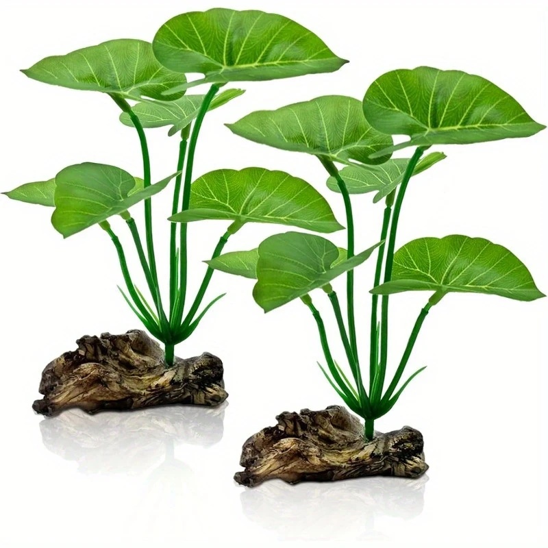 1 pz piante d'acquario artific - Terrarium Moss Art recensione e prezzo