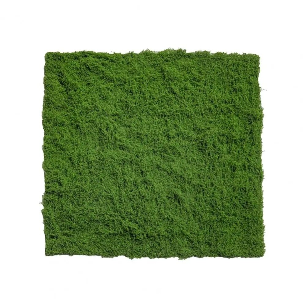 Tappeto in Erba Sintetica Fai- - Terrarium Moss Art recensione e prezzo