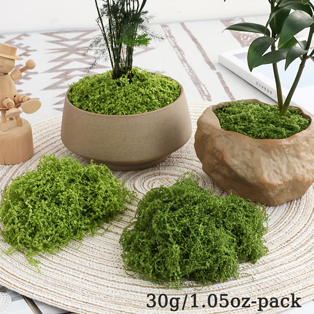 1 confezione di muschio finto  - Terrarium Moss Art recensione e prezzo