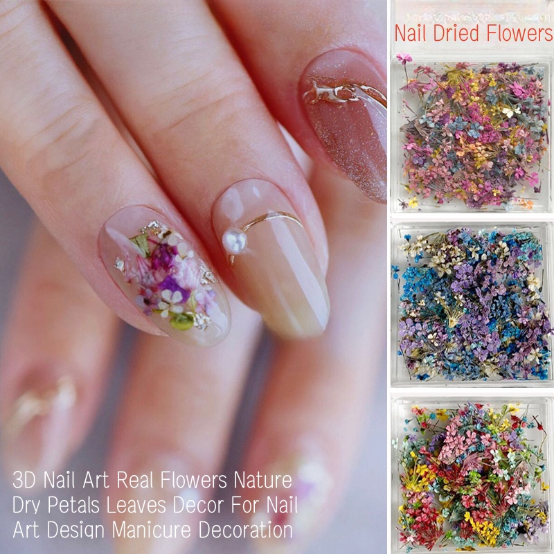 Piccole fiori secchi misti per - Dried Flower Bulk recensione e prezzo